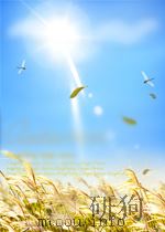 advanced carbon materials and technology（ PDF版）