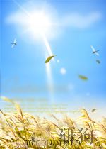 analytical chemistry progress P122（ PDF版）
