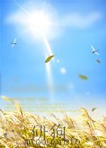 chemistry and uses of pesticides second edition P334（ PDF版）