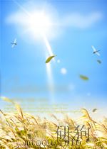 macmillan dictionary of biotechnology P330（ PDF版）