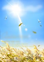 avian physiology P423（ PDF版）