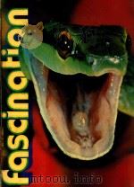 FASCINATION SCHLANGEN UND ECHSEN SERPENTS ET LEZARDS SNAKES AND LIZARDS（1974 PDF版）