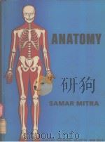 ANATOMY（1982 PDF版）