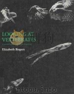 LOOKING AT VERTEBRATES A PRACITICAL GUIDE TO VERTEBRATE ADAPTATIONS 1986 PDF电子版封面 0582450861