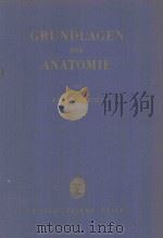 GRUNDLAGEN DER ANATOMIE（1956 PDF版）