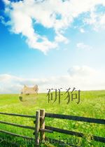 essays in biochemistry volume 17 P135（ PDF版）