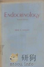 ENDOCRINOLOGY SECOND EDITION（1988 PDF版）