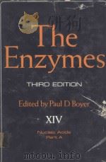 THE ENZYMES VOLUME XIV NUCLEIC ACIDS PART A THIRD EDITION（1981 PDF版）