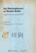 GEL ELECTROPHORESIS OF NUCLEIC ACIDS A PRACTICAL APPROACH（1982 PDF版）
