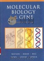 molecular biology of the gene seventh edition（ PDF版）