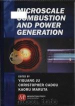 microscale combustion and power generation（ PDF版）