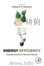 energy efficiency towards the end of demand growth（ PDF版）