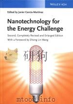 nanotechnology for the energy challenge（ PDF版）