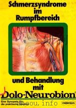 SCHMERZSYNDROME IM RUMPFBEREICH UND BEHANDLUNG MIT DOLO NEUROBION（1975 PDF版）