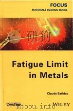 fatigue limit in metals（ PDF版）