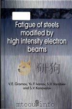 fatigue of steels modified by high intensity electron beams（ PDF版）