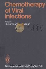 CHEMOTHERAPY OF VIRAL INFECTIONS（1982 PDF版）