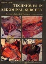 TECHNIQUES IN ABDOMINAL SURGERY 1973 PDF电子版封面 0856020044 PHILIPPE DETRIE