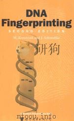 DNA FINGERPRINTING SECOND EDITION（1998 PDF版）
