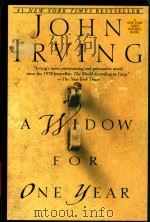 A Widow for One Year（1998 PDF版）