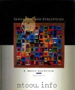 Sensation and Perception（1996 PDF版）