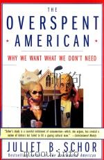 Overspent American（1998 PDF版）