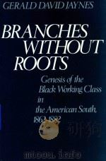 Branches without roots 1986 PDF电子版封面 195036190