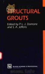 STRUCTURAL GROUTS 1994 PDF电子版封面 9780751400971 P.L.J.DOMONE