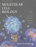 MOLECULAR CELL BIOLOGY FOURTH EDITION（1999 PDF版）