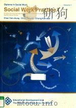 SOCIAL WORK PRACTICE%VOLUME I VOLUME 1（1995 PDF版）