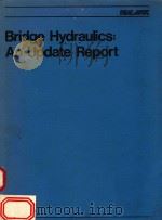 BRIDGE HYDRAULICS:AN UPDATE REPORT 1987 PDF电子版封面 091909855X
