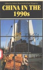 CHINA IN THE 1990S（1995 PDF版）