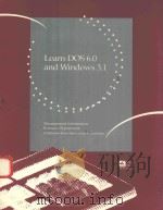 LEARN DOS 6.0 AND WINDOWS 3.1   1994  PDF电子版封面  0079120792   