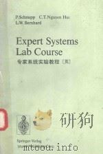 EXPERT SYSTEMS LAB COURSE（1989 PDF版）