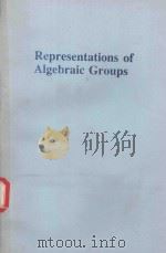 REPROSENTATIONS OF ALGEBRAIC GROUPS（1992 PDF版）