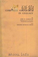 COMPUTER SIMULATION IN GEOLOGY（1981 PDF版）