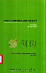 SOCIAL PROCESS AND THE CITY（1983 PDF版）