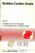 SUDDEN CARDIAC DEATH(VOLUME 110)（1991 PDF版）
