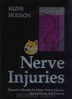 NERVE INJURIES（1995 PDF版）
