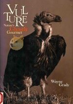 VULTURE（1997 PDF版）