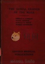 THE SEXUAL GLANDS OF THE MALE（1945 PDF版）
