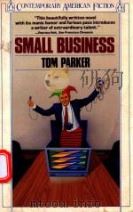 AMALL BUSINESS A NOVEL 1986 PDF电子版封面 0140098100 TOM PARKER