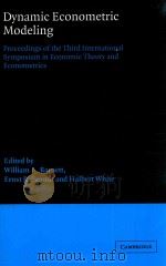 DYNAMIC ECONOMETRIC MODELING PROCEEDINGS OF THE THIRD INTERNATIONAL SYMPOSIUM IN ECONMIC THEORY AND（1988 PDF版）