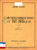 CARNET DESQUISSES ET DE CROQUIS PDF电子版封面 ERIK SATIE