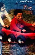 PLAY ENLARGED EDITION（1990 PDF版）