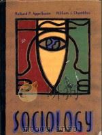 SOCIOLOGY SECOND（1997 PDF版）