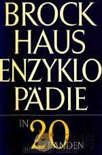 BROCKHAUS ENZYKLOPADIE SIEBZEHNTER BAND SCHR-STAL 17 1973 PDF电子版封面 3765300004