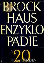 BROCKHAUS ENZYKLOPADIE ELFTER BAND L-MAH 11（1970 PDF版）