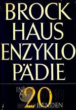 BROCKHAUS ENZYKLOPADIE SECHZEHNTER BAND RIT-SCHO 16（1973 PDF版）