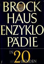 BROCKHAUS ENZYKLOPADIE ERGNZUNGEN A-I 22（1975 PDF版）